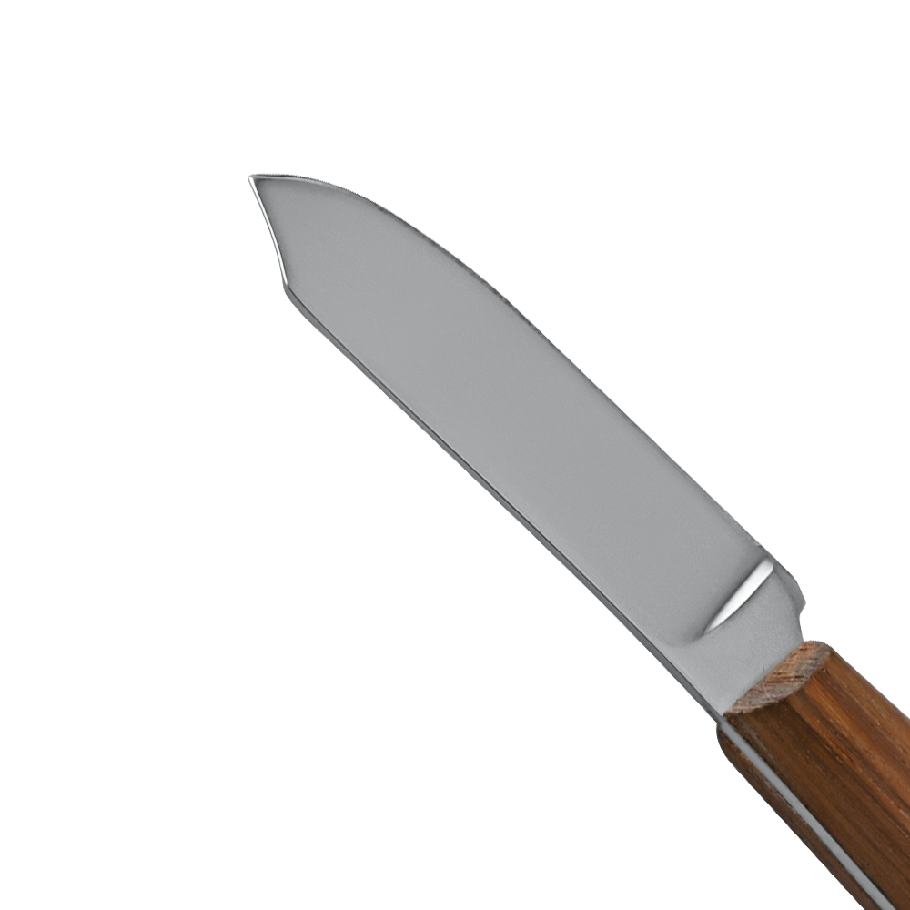 Con scodellion fig.2