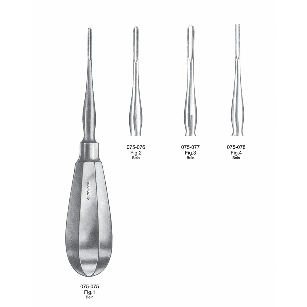 Dental Elevator Bein
