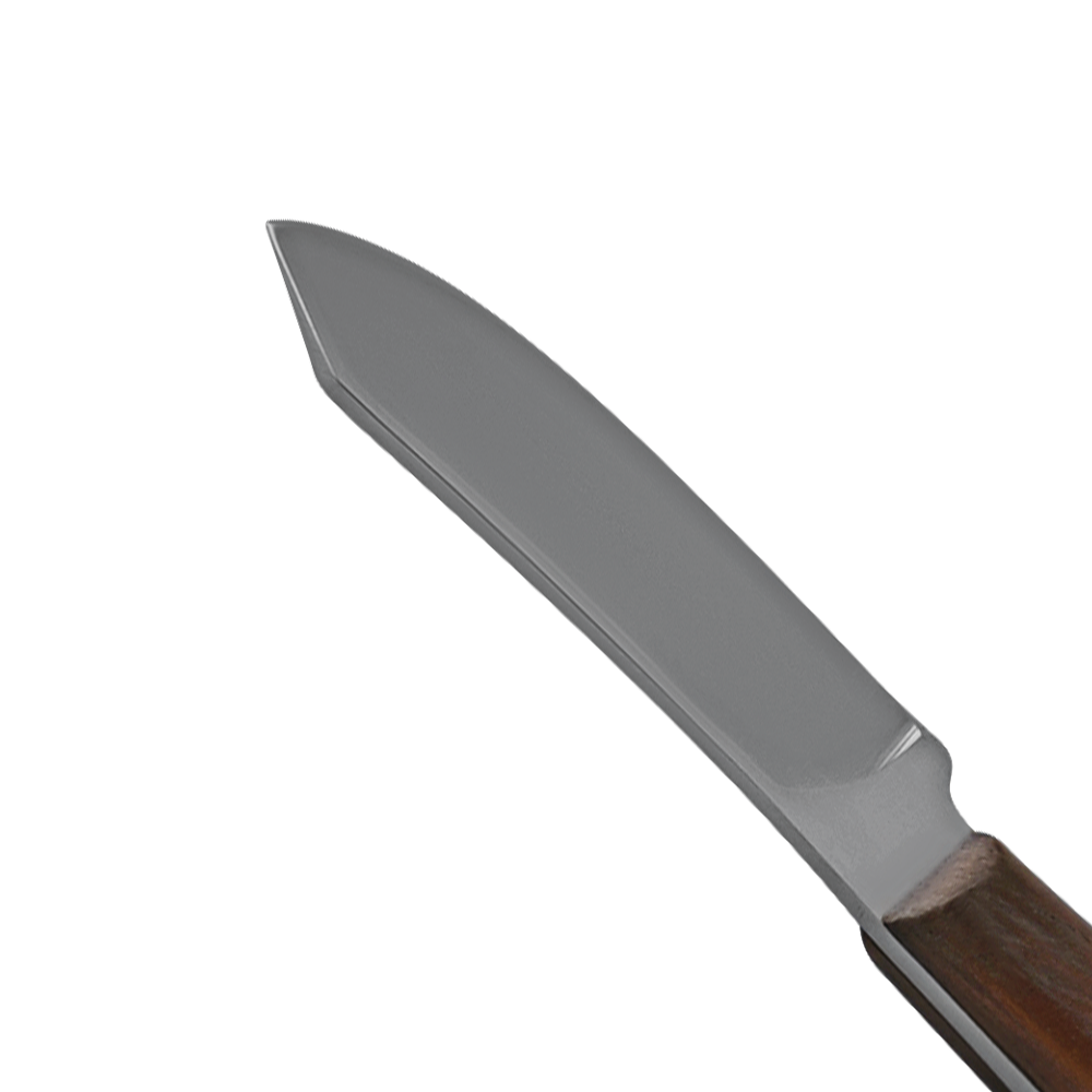 Con Scodellion fig.1