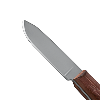 Fahnenstock fig.2