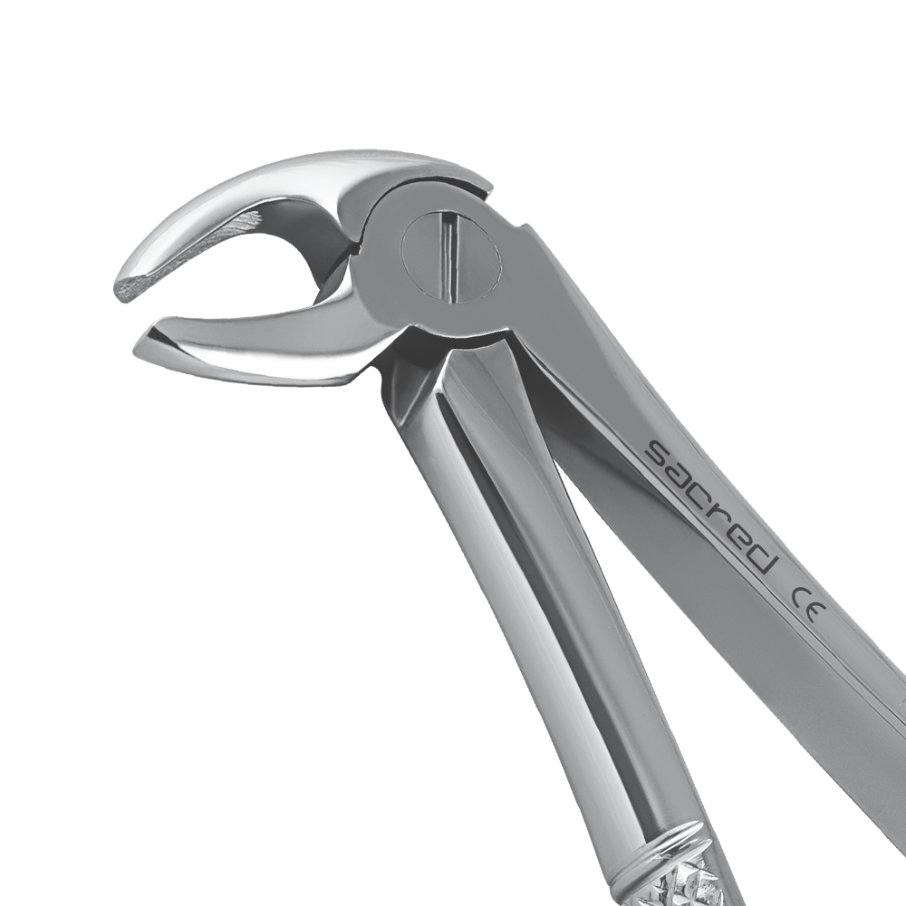 Extracting Forceps Fig.MD3